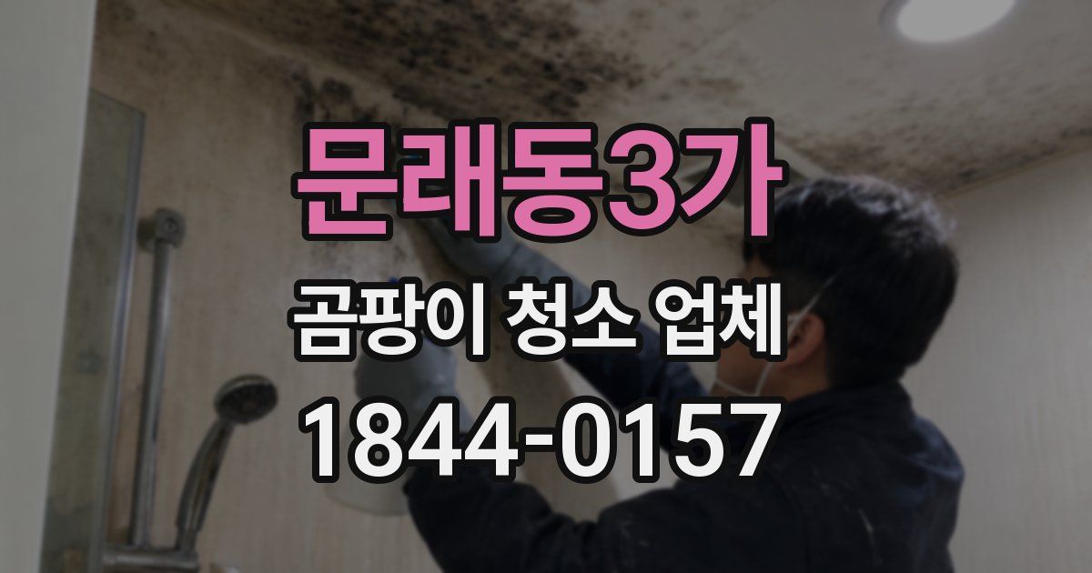 문래동3가 곰팡이 청소 업체