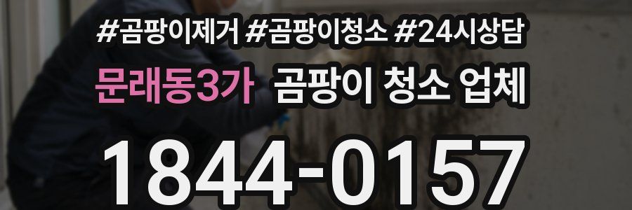 문래동3가 곰팡이 청소 업체