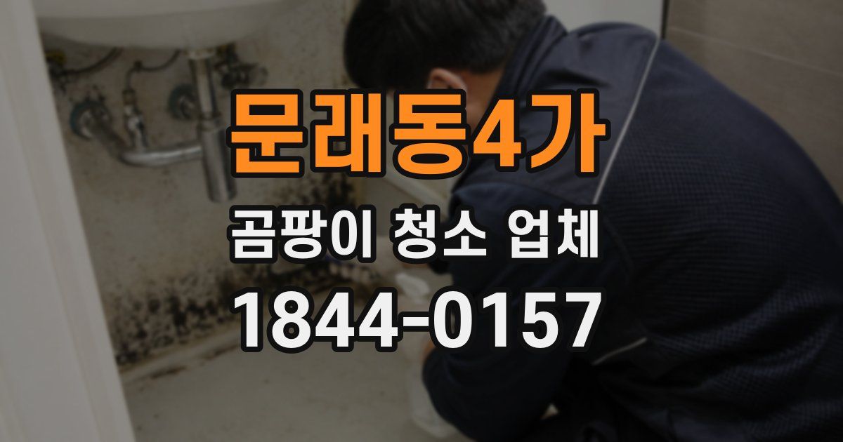 문래동4가 곰팡이 청소 업체