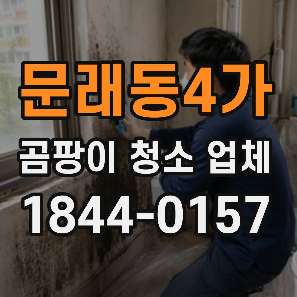 문래동4가 곰팡이 청소 업체