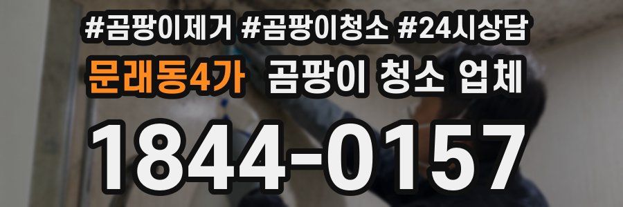 문래동4가 곰팡이 청소 업체
