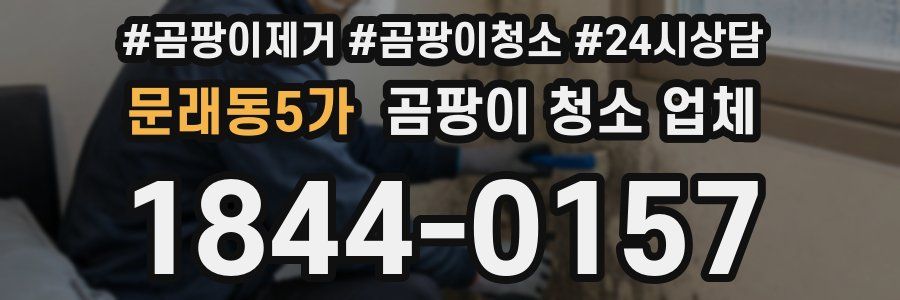 문래동5가 곰팡이 청소 업체