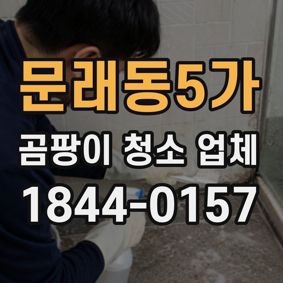 문래동5가 곰팡이 청소 업체