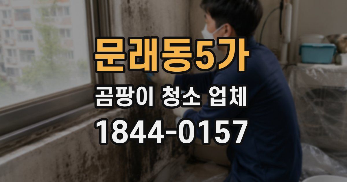 문래동5가 곰팡이 청소 업체