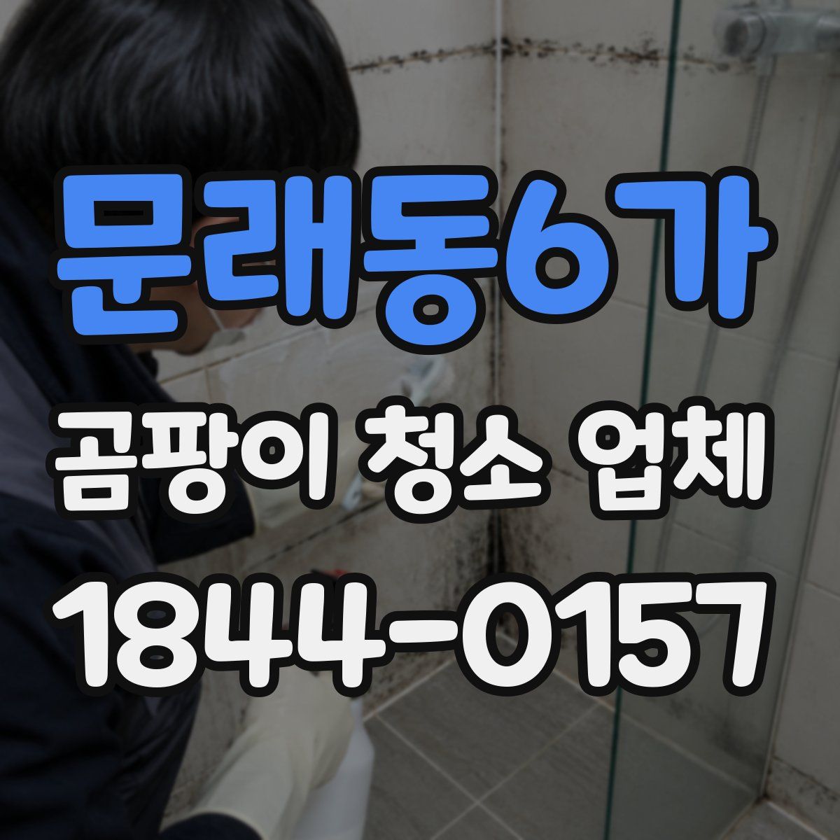 문래동6가 곰팡이 청소 업체