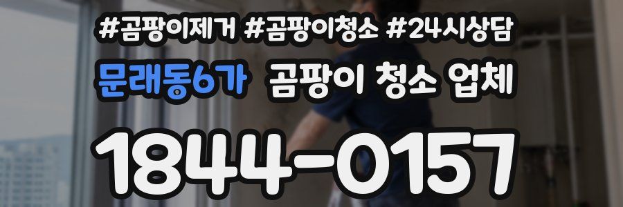 문래동6가 곰팡이 청소 업체