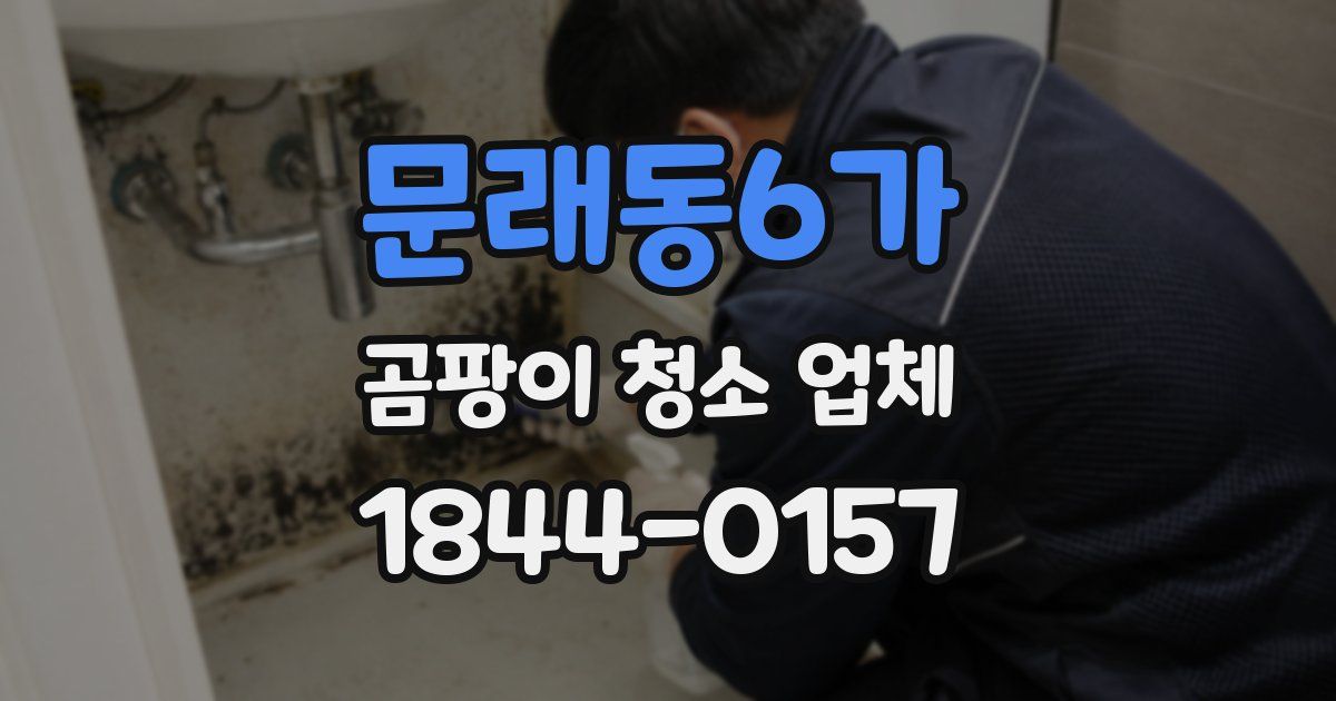 문래동6가 곰팡이 청소 업체