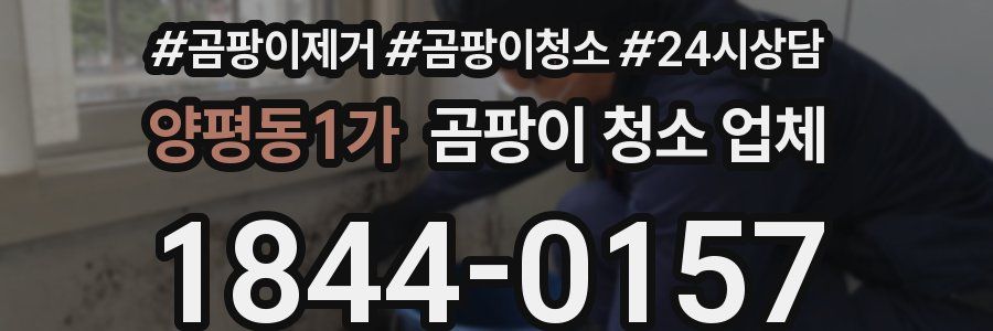 양평동1가 곰팡이 청소 업체