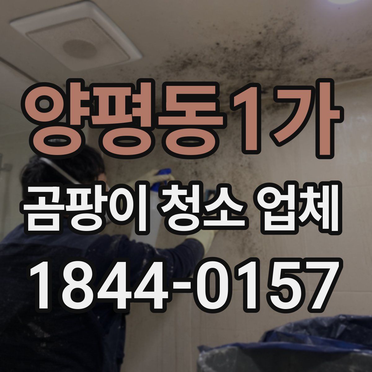 양평동1가 곰팡이 청소 업체
