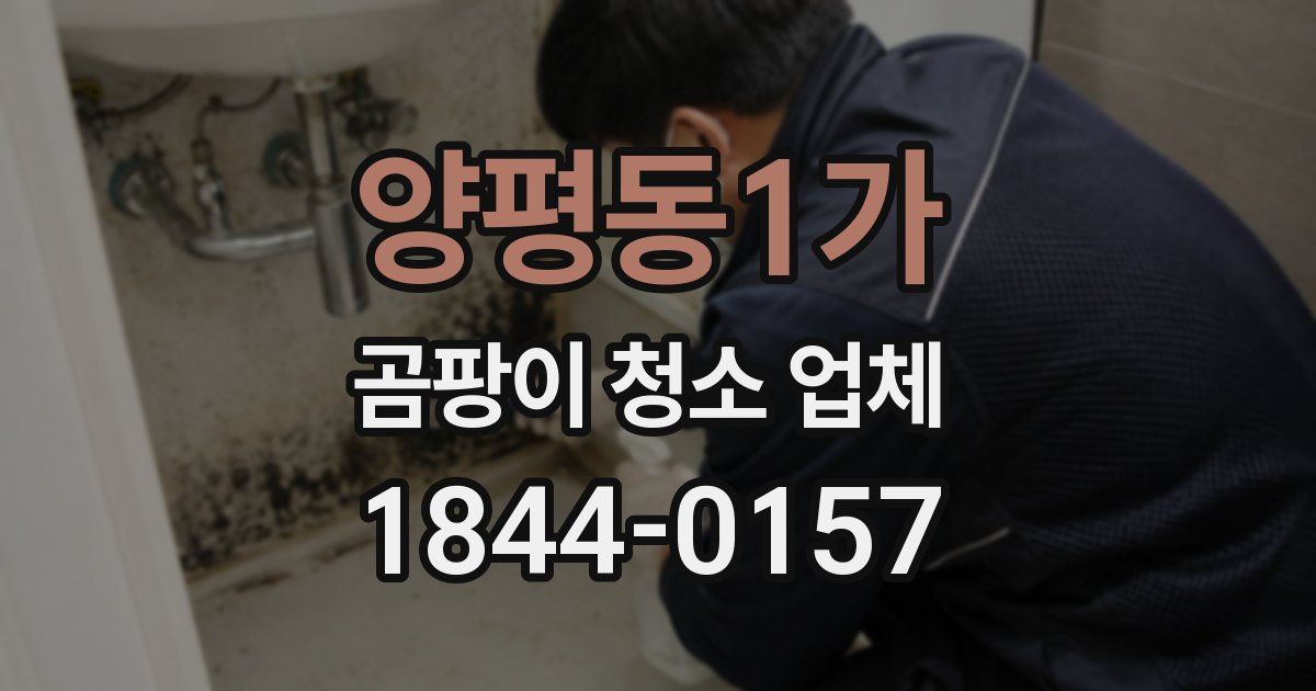 양평동1가 곰팡이 청소 업체