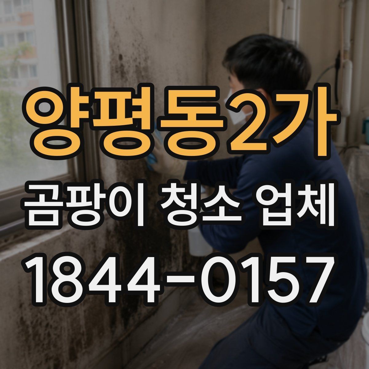 양평동2가 곰팡이 청소 업체 오염된 가구를 버릴지 살릴지 판단하는 법