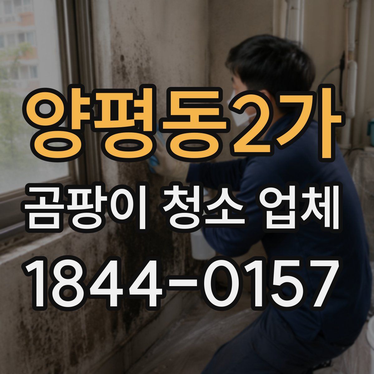 양평동2가 곰팡이 청소 업체