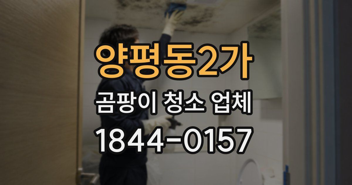 양평동2가 곰팡이 청소 업체