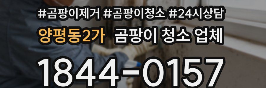 양평동2가 곰팡이 청소 업체