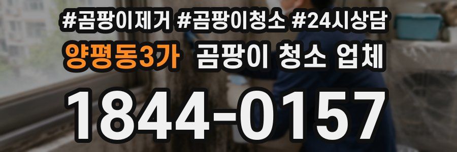 양평동3가 곰팡이 청소 업체