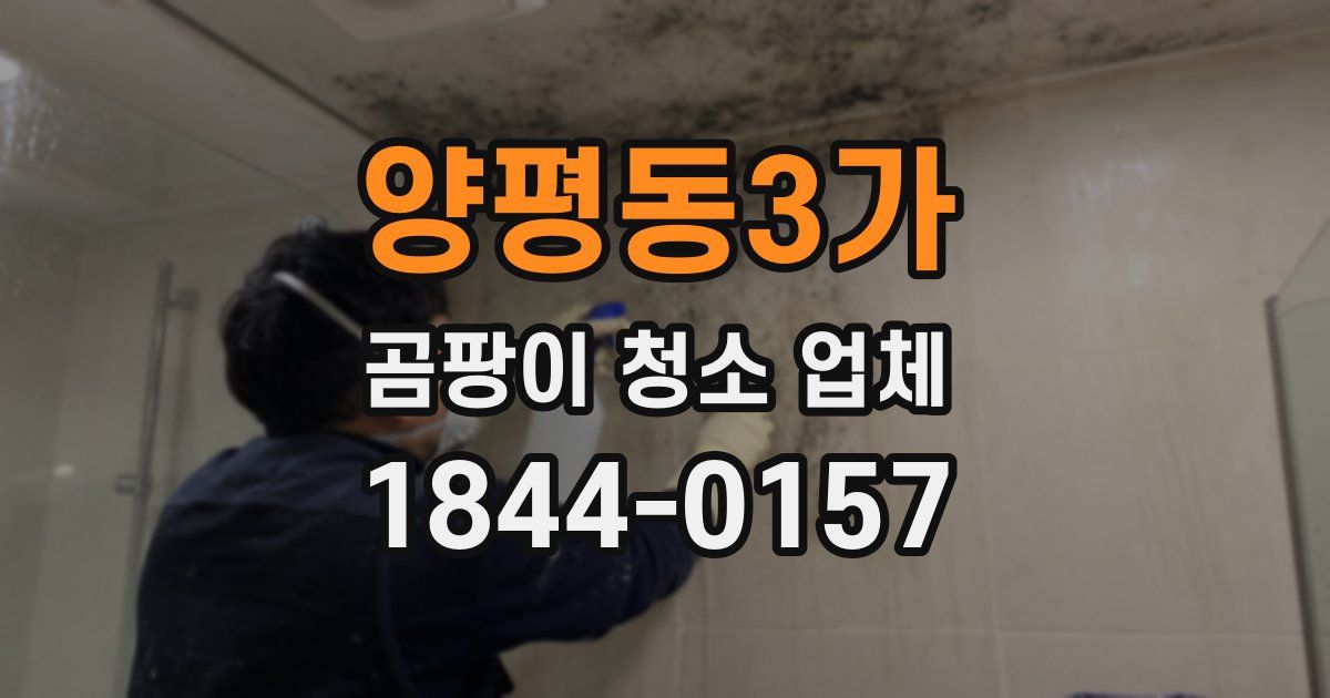 양평동3가 곰팡이 청소 업체