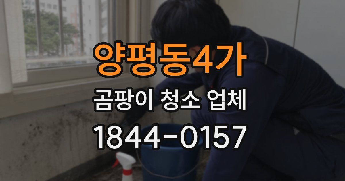 양평동4가 곰팡이 청소 업체