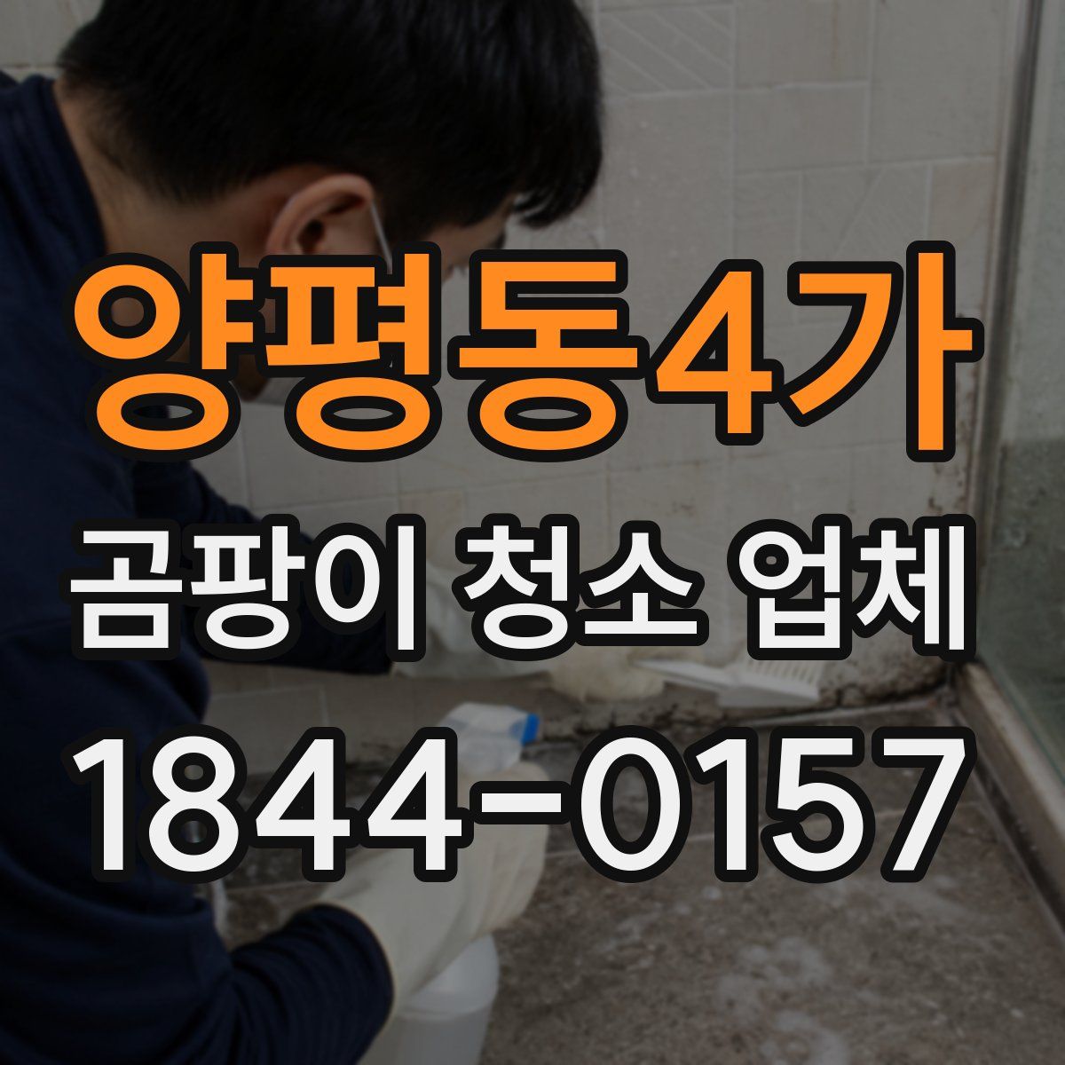 양평동4가 곰팡이 청소 업체