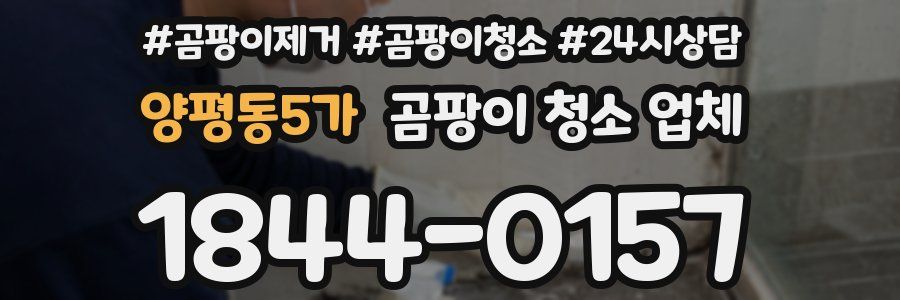 양평동5가 곰팡이 청소 업체