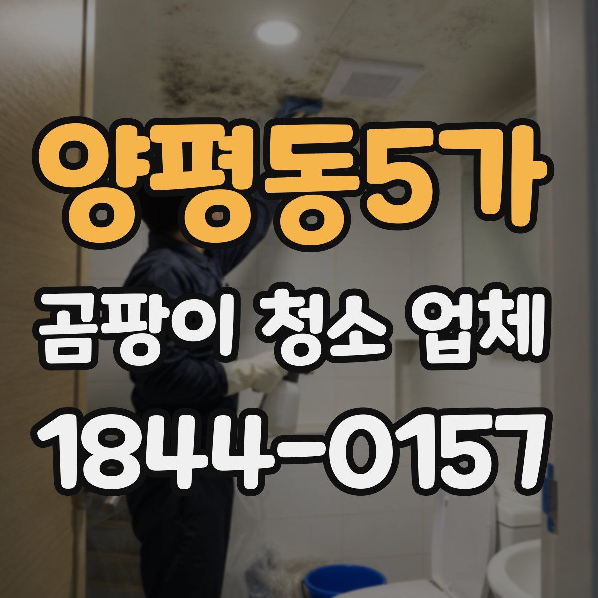 양평동5가 곰팡이 청소 업체