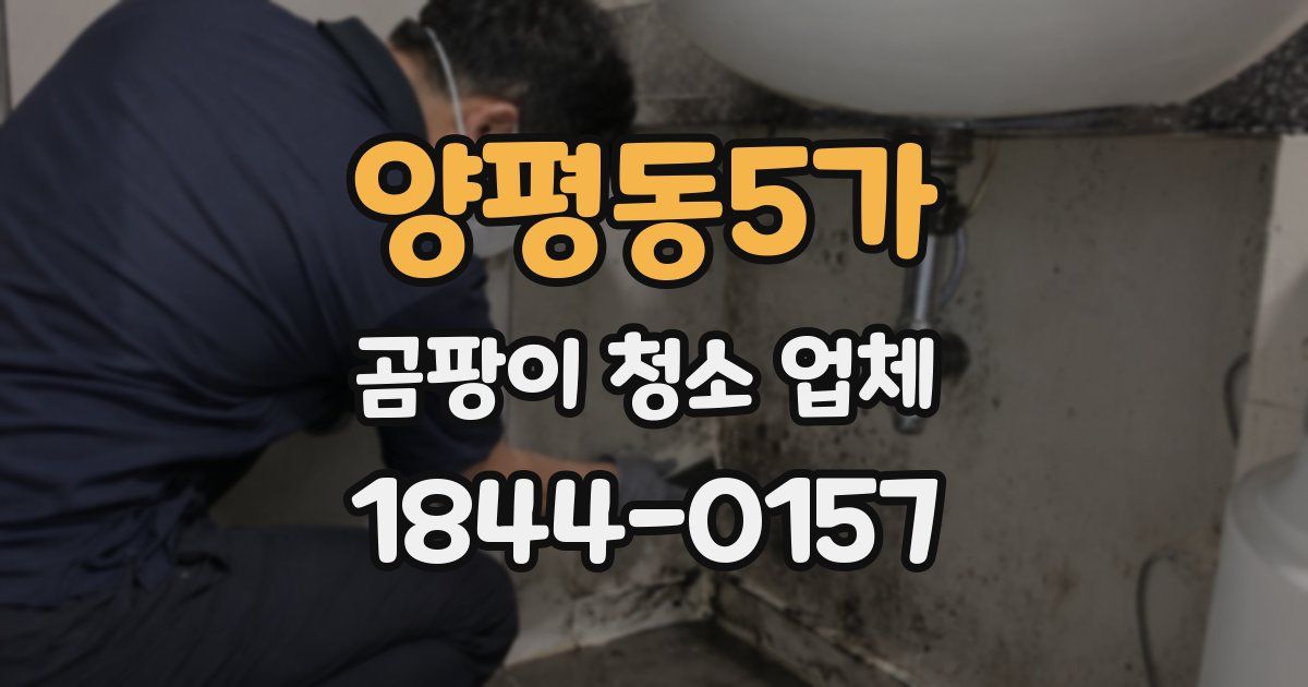 양평동5가 곰팡이 청소 업체