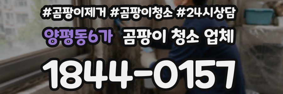 양평동6가 곰팡이 청소 업체