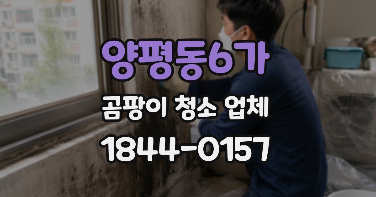 양평동6가 곰팡이 청소 업체