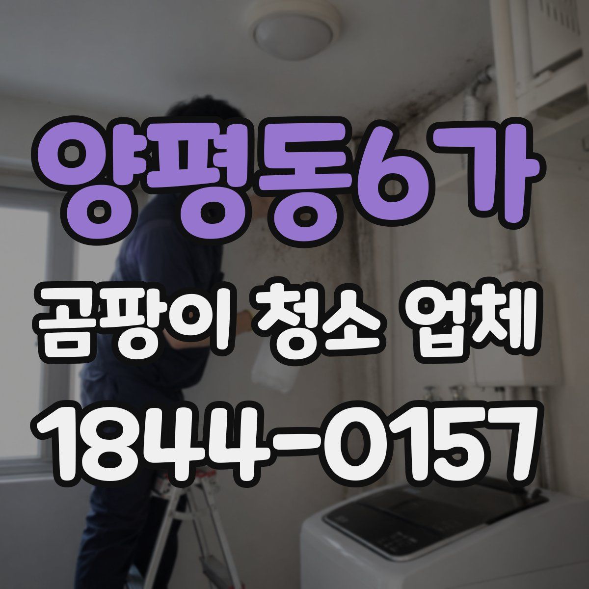 양평동6가 곰팡이 청소 업체
