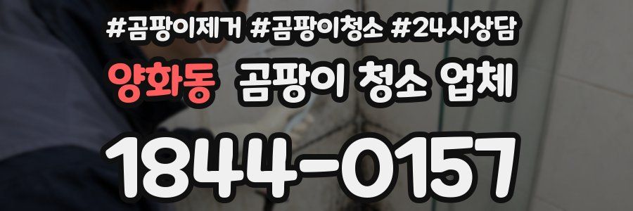 양화동 곰팡이 청소 업체