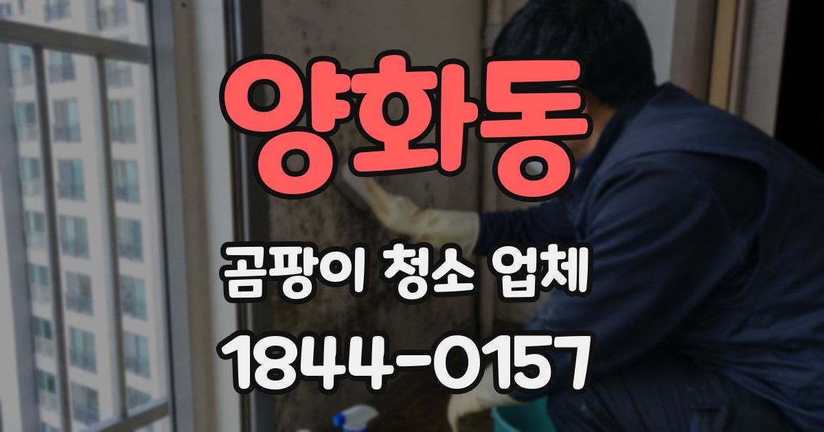 양화동 곰팡이 청소 업체
