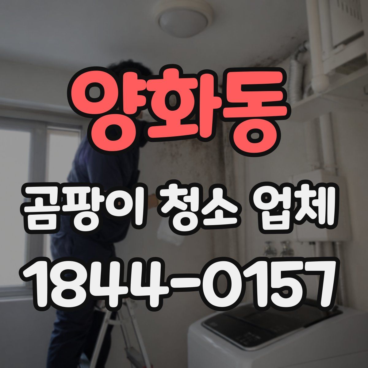 양화동 곰팡이 청소 업체