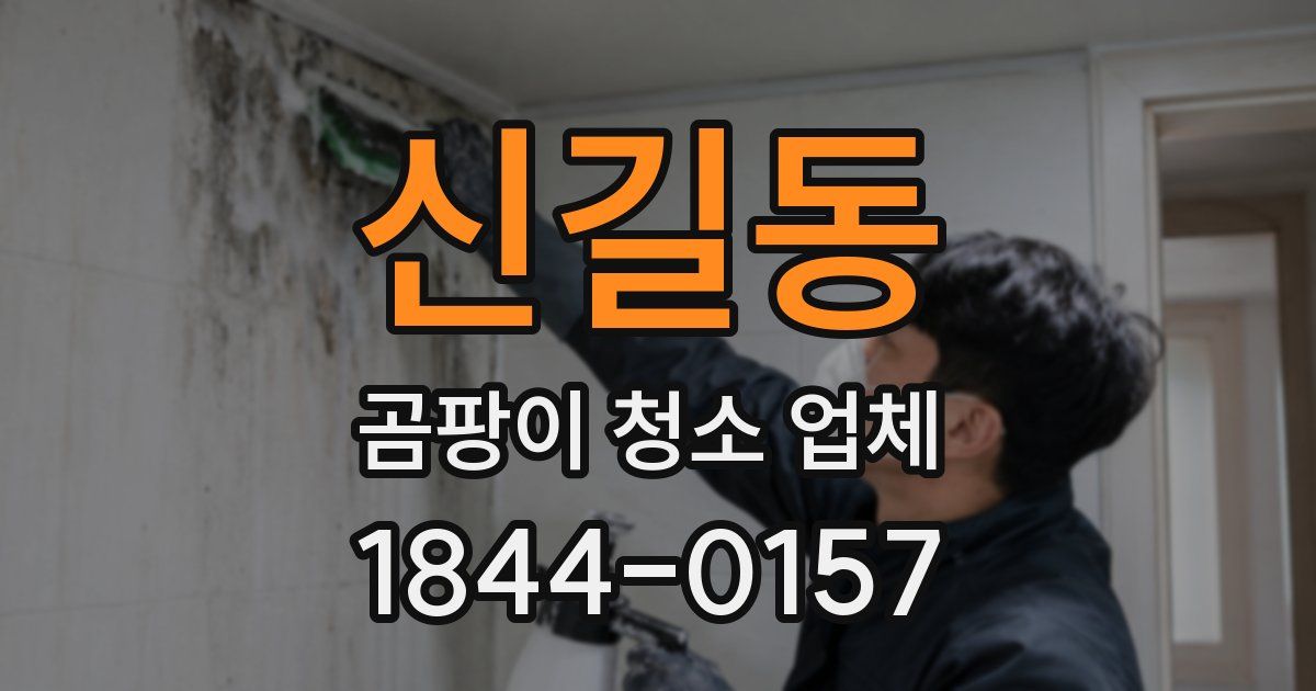 신길동 곰팡이 청소 업체