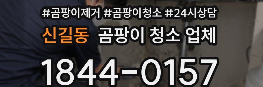 신길동 곰팡이 청소 업체