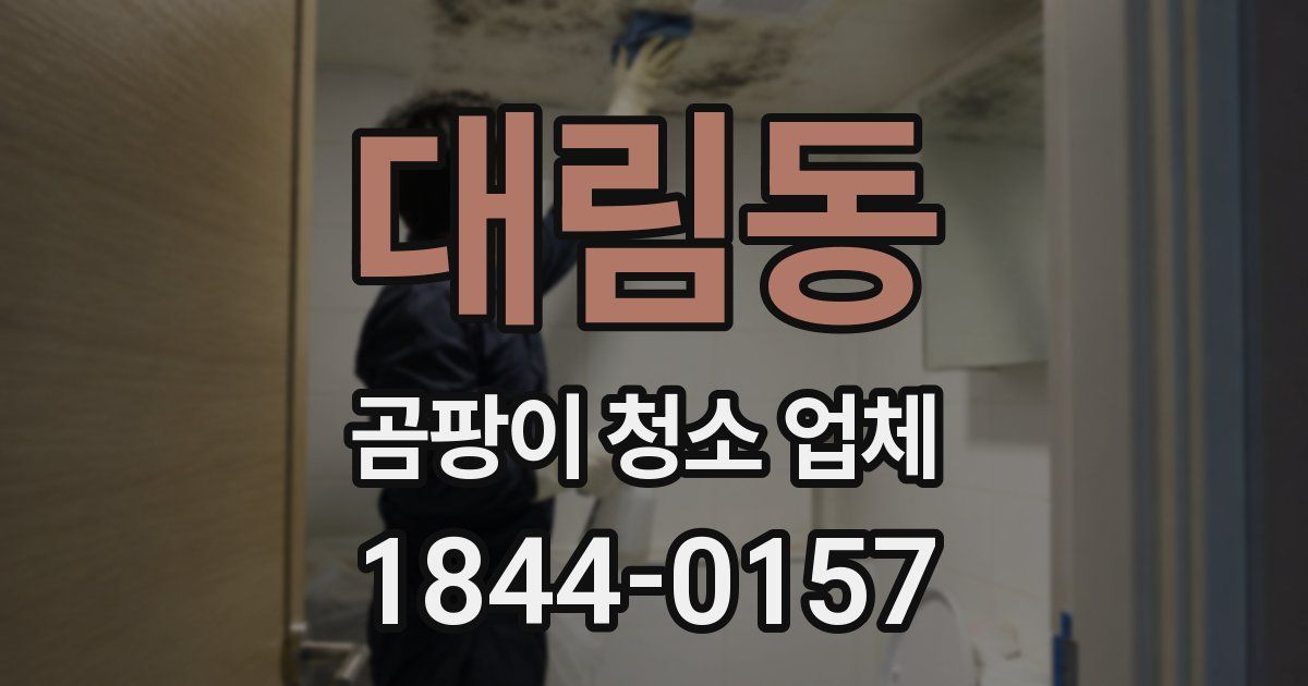 대림동 곰팡이 청소 업체
