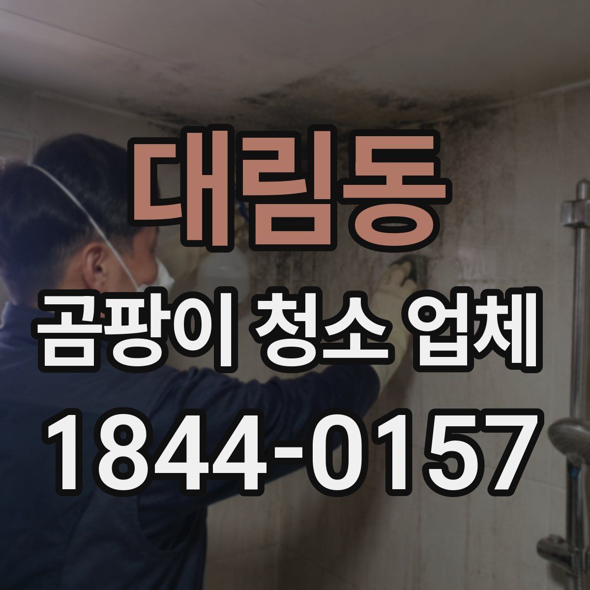 대림동 곰팡이 청소 업체