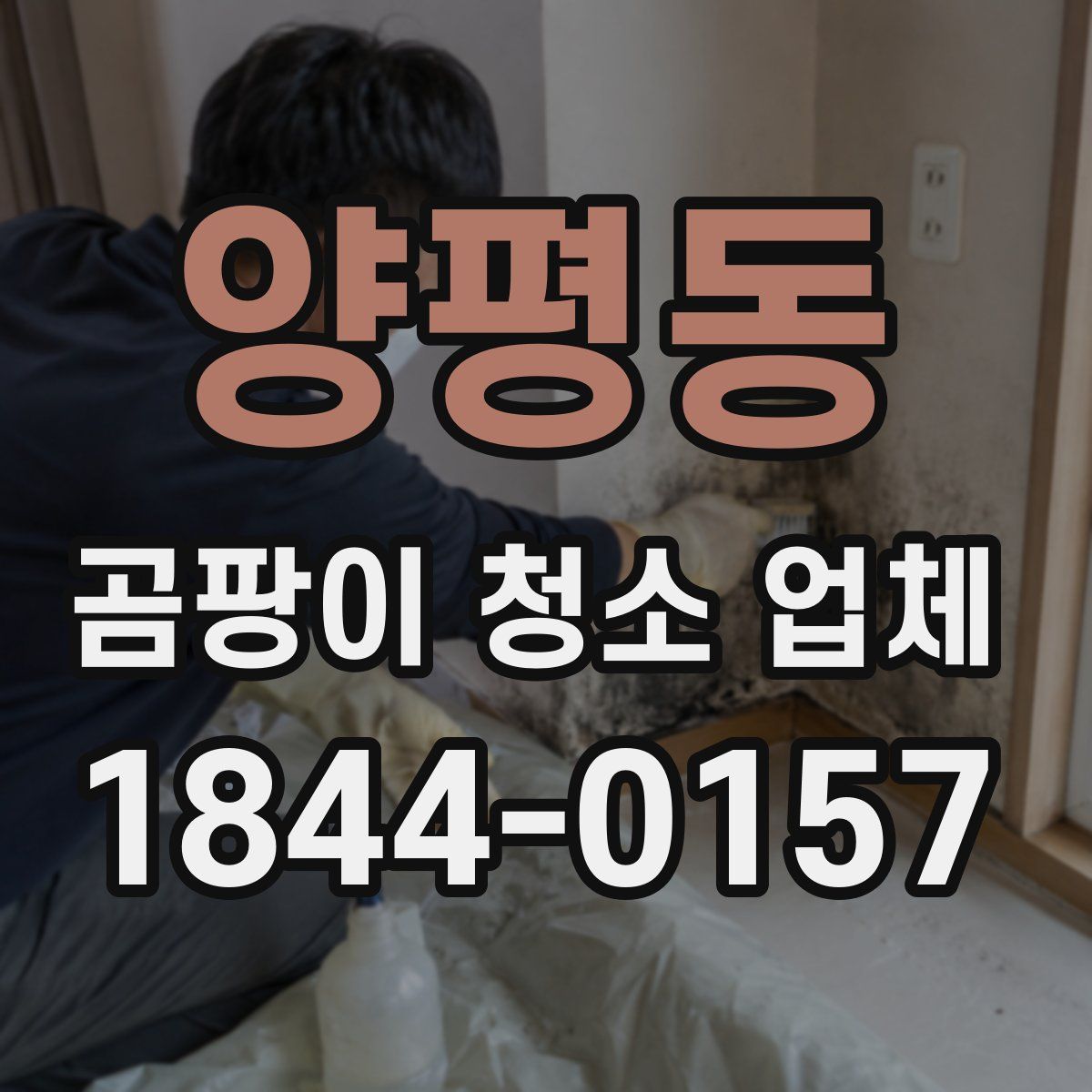 양평동 곰팡이 청소 업체