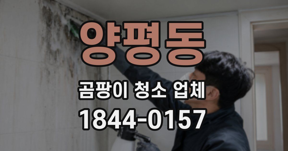 양평동 곰팡이 청소 업체