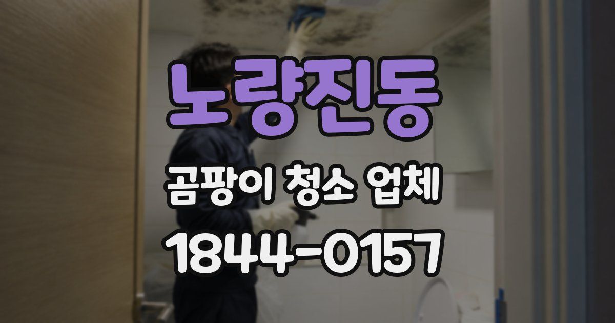 노량진동 곰팡이 청소 업체