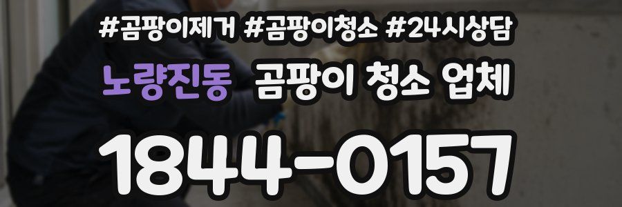 노량진동 곰팡이 청소 업체