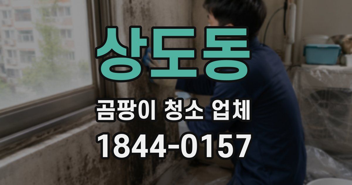 상도동 곰팡이 청소 업체