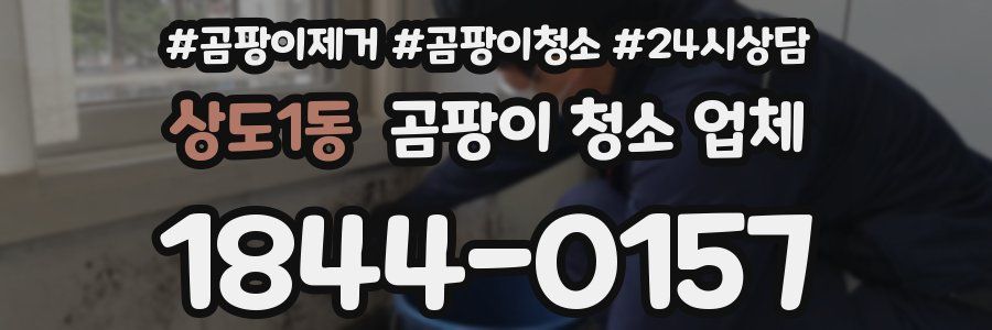 상도1동 곰팡이 청소 업체
