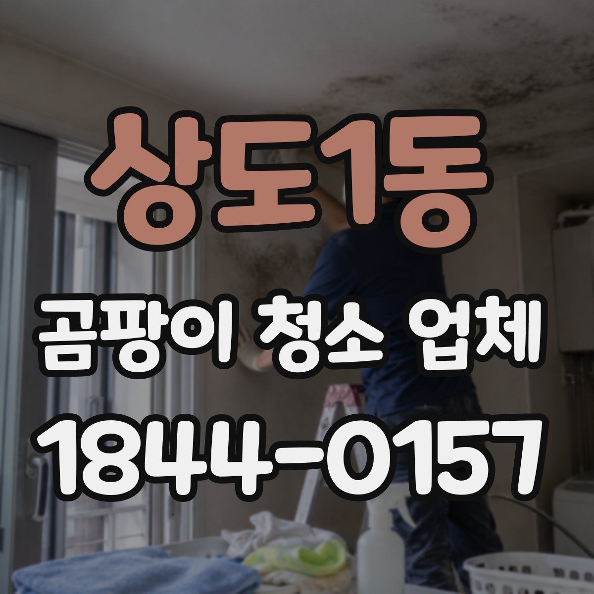 상도1동 곰팡이 청소 업체