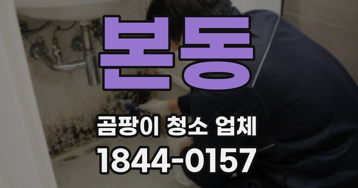 본동 곰팡이 청소 업체