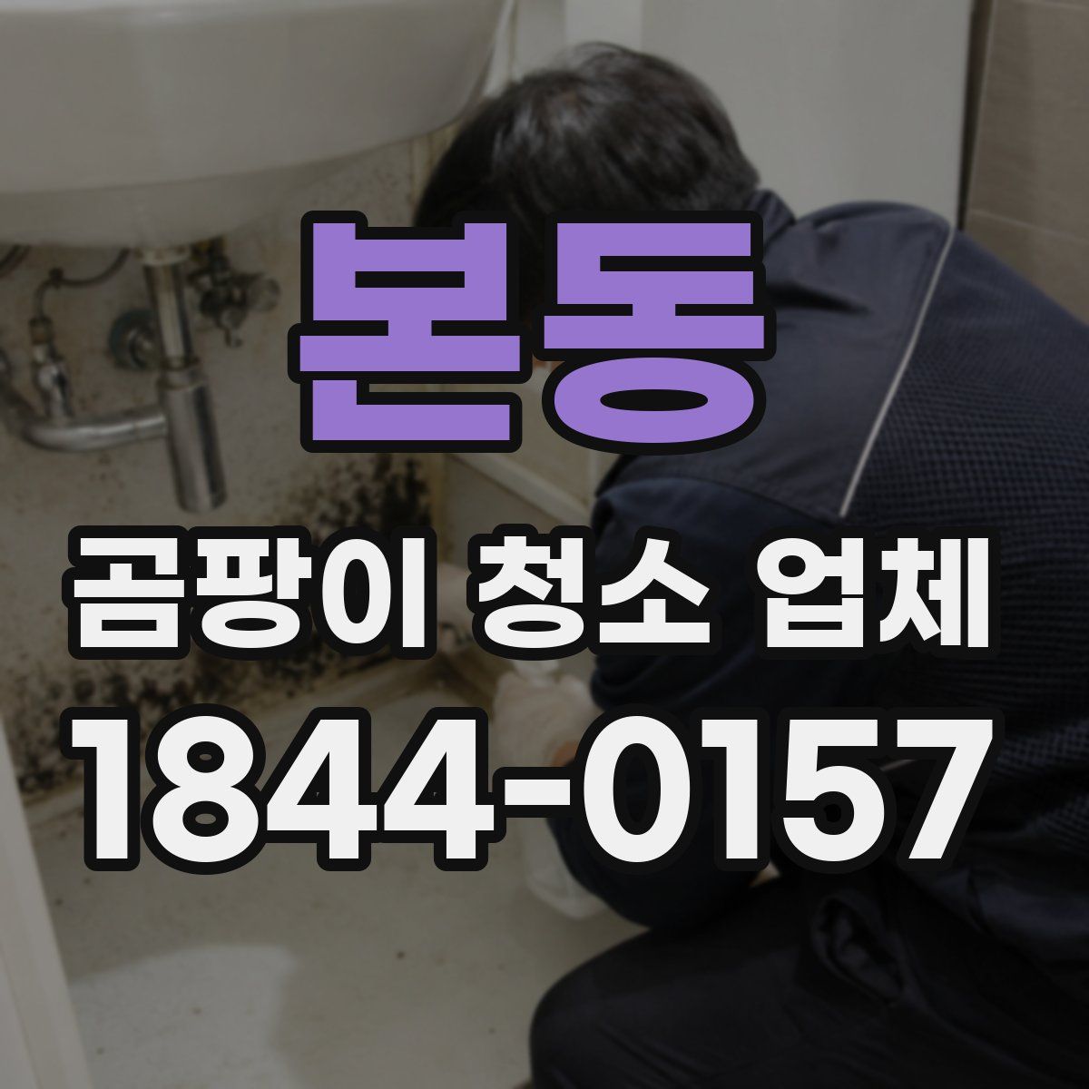 본동 곰팡이 청소 업체