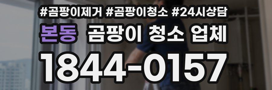본동 곰팡이 청소 업체