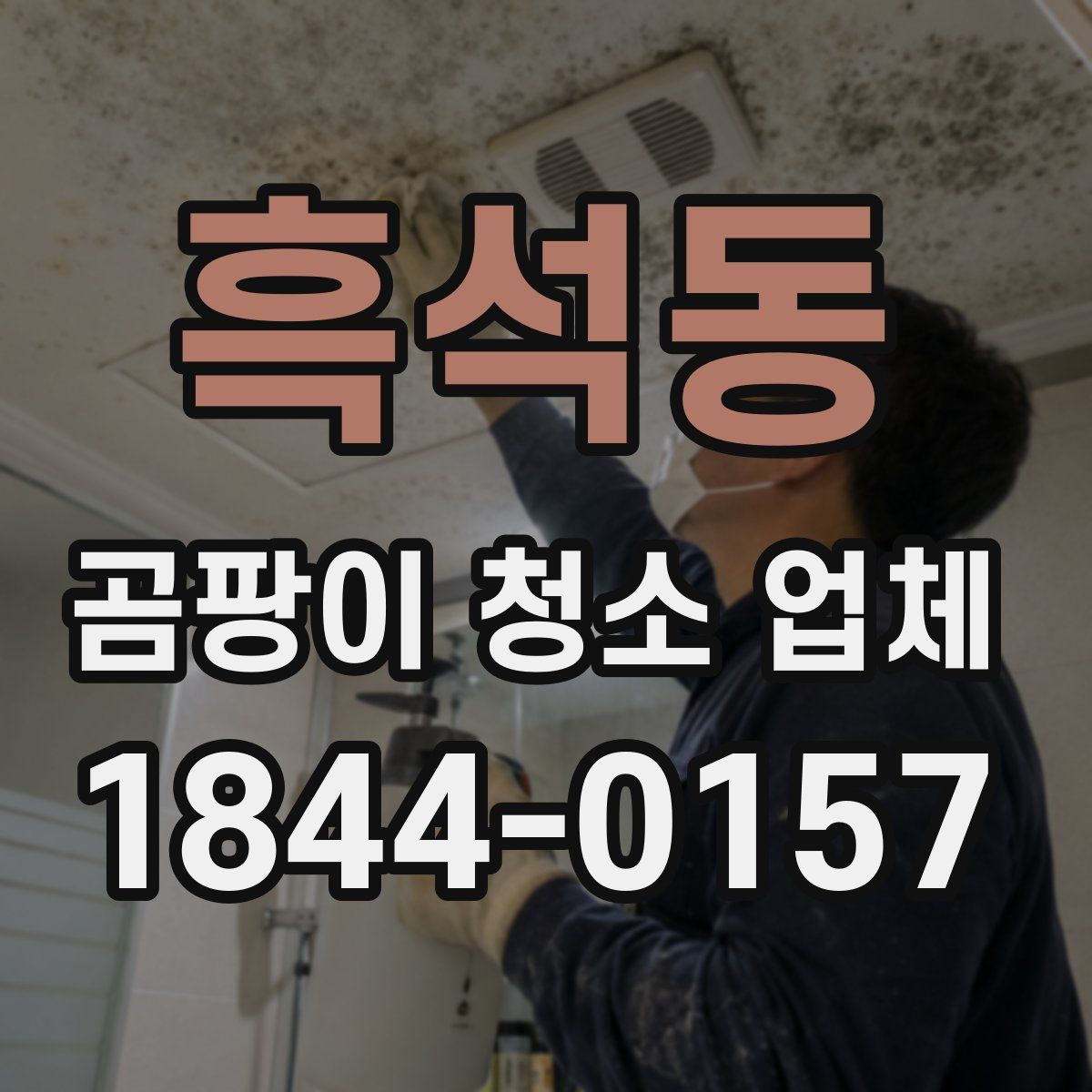 흑석동 곰팡이 청소 업체