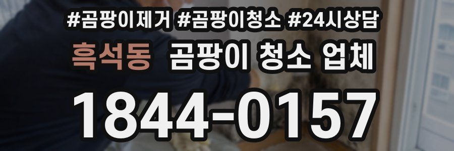 흑석동 곰팡이 청소 업체