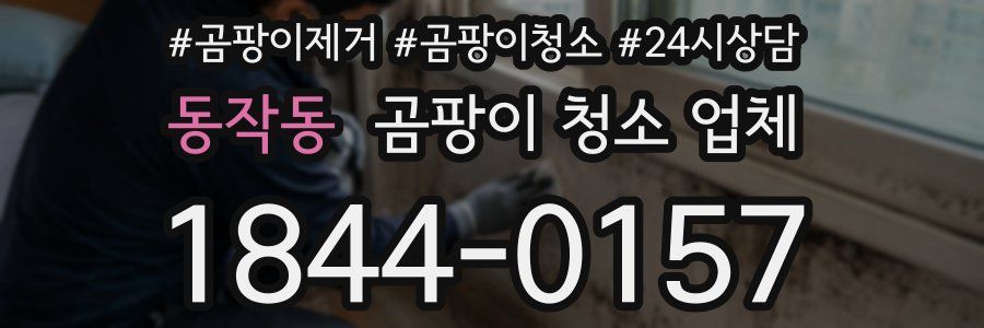 동작동 곰팡이 청소 업체