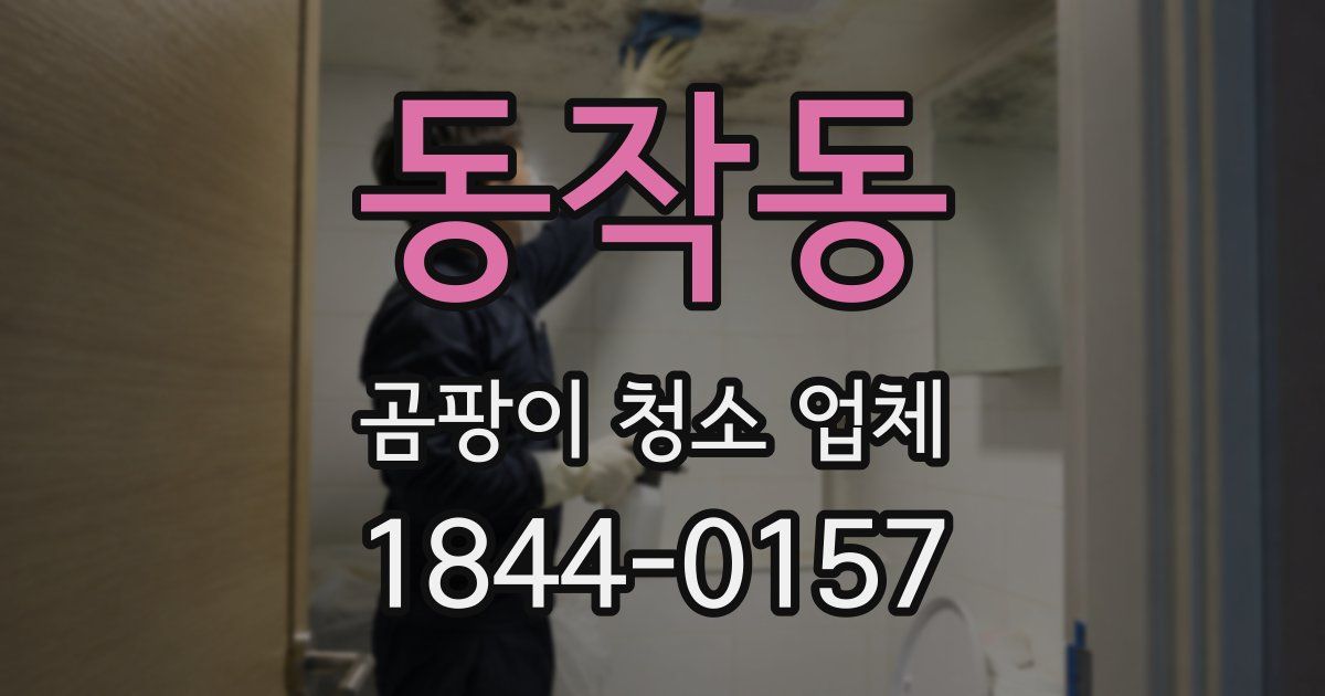 동작동 곰팡이 청소 업체