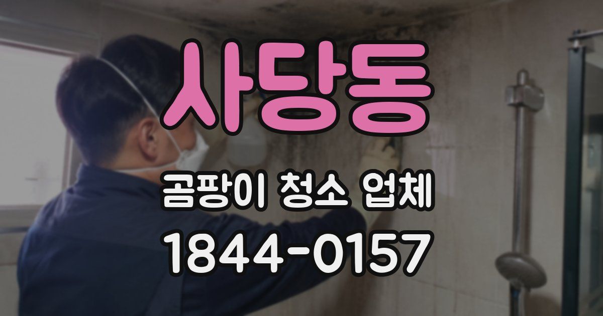 사당동 곰팡이 청소 업체